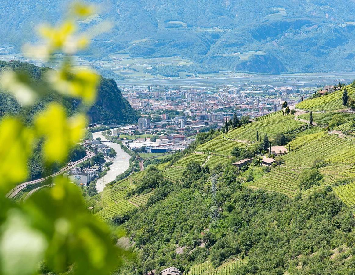 Weingut Schmid Oberrautner Apartment Suites Bolzano Kültér fotó